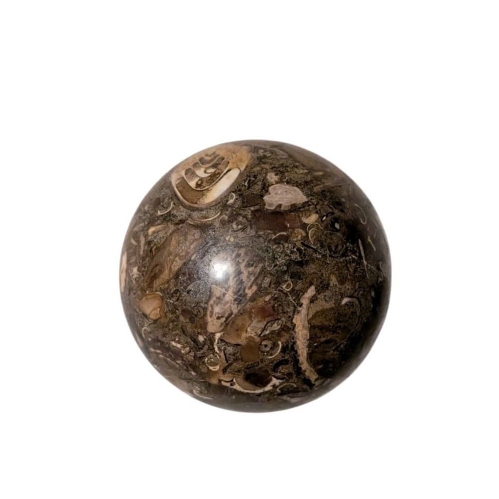 Polished Fossil Shell Sphere 3.5" Coquina Stone Ball Turritella Style Decor Orb